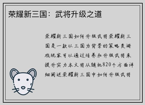 荣耀新三国：武将升级之道