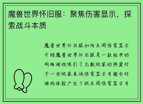 魔兽世界怀旧服：聚焦伤害显示，探索战斗本质